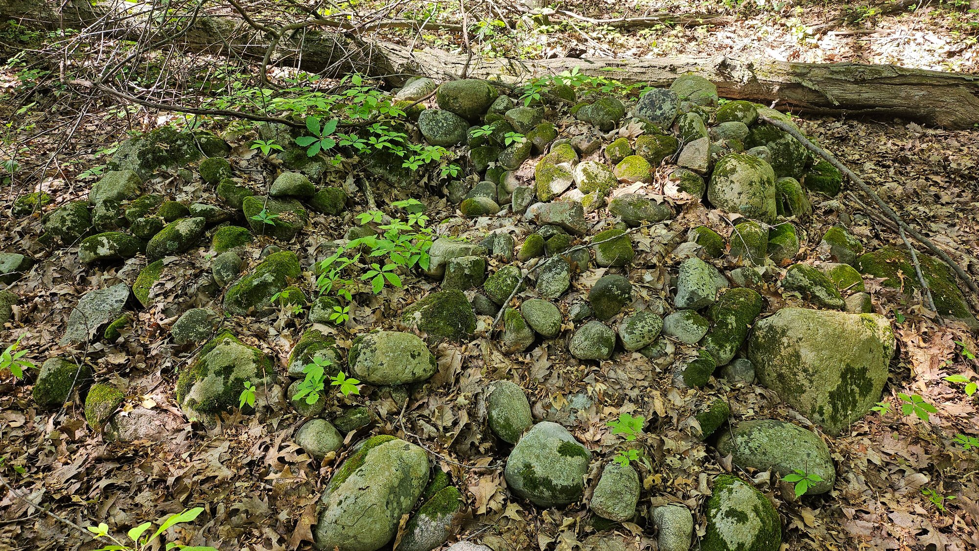 Cobblestone mound (potential burial)