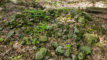 Cobble Stone mound a.k.a. Turtle Mound