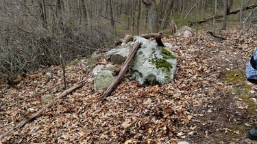 IMG_20230420_125410188 - Copy-1