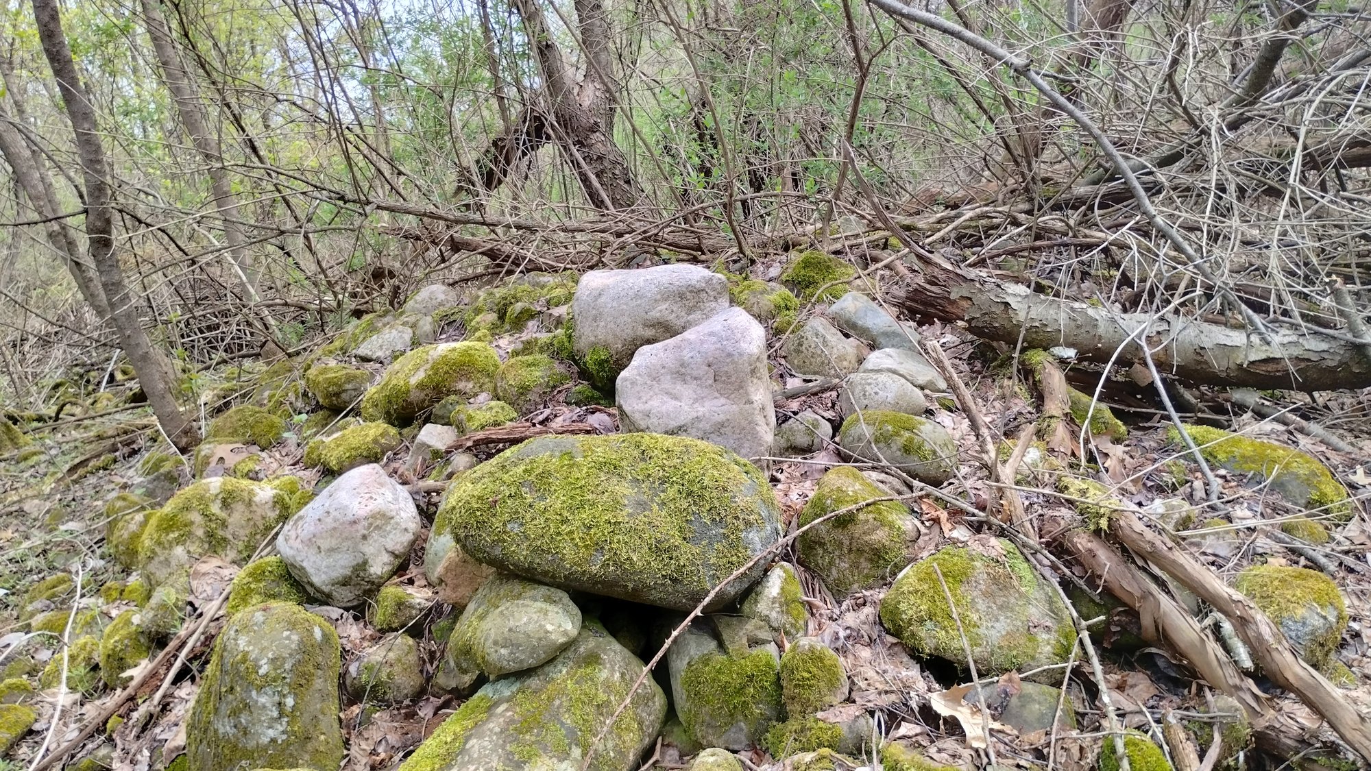 IMG_20230420_134903019_HDR - Copy